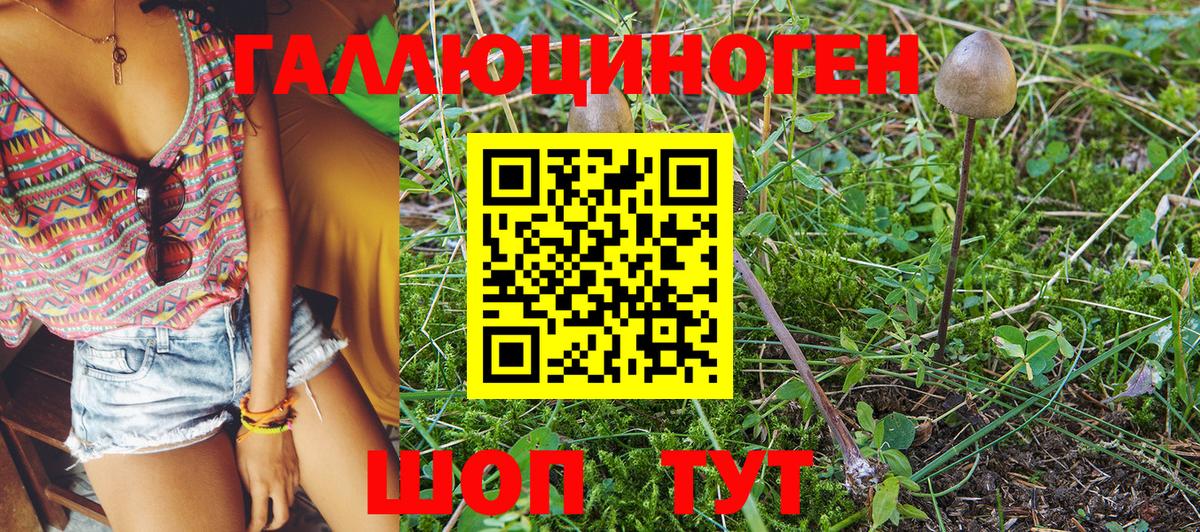 Галлюциногенные грибы MAGIC MUSHROOMS Кувандык